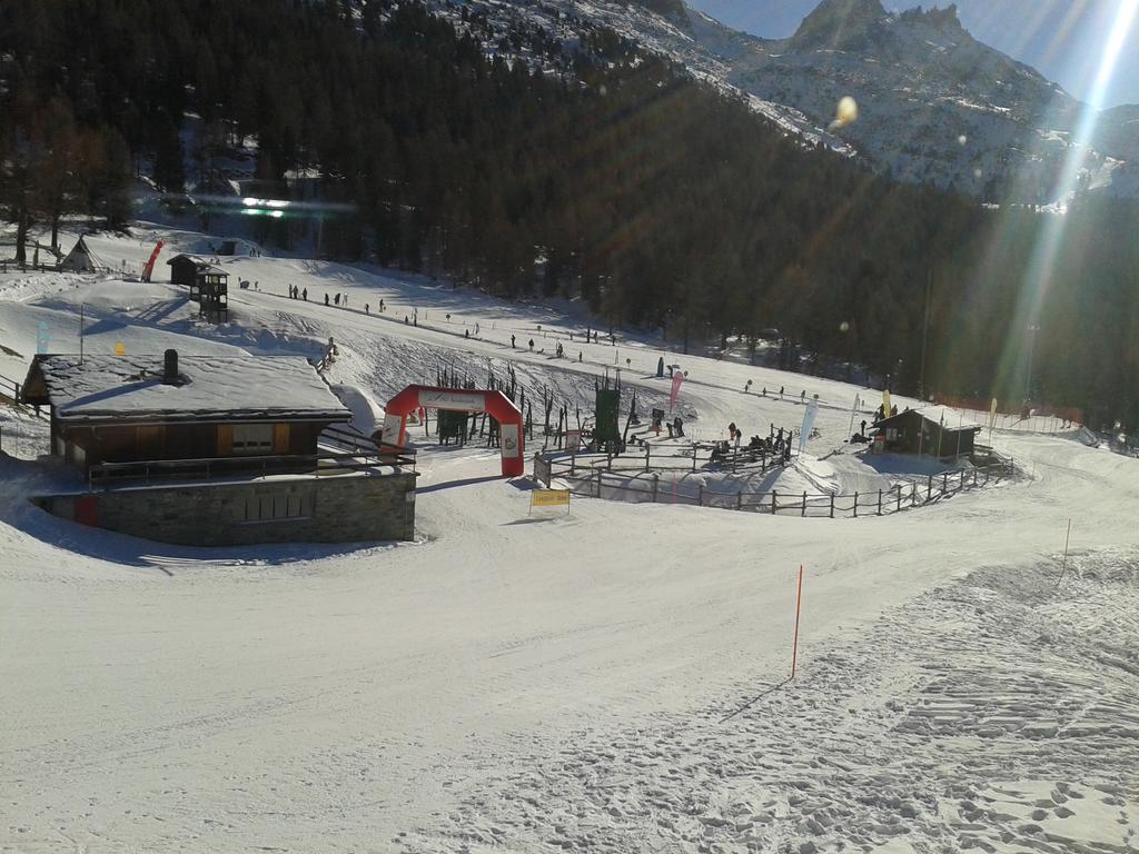 Chalet Schneevogul Grächen Εξωτερικό φωτογραφία